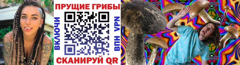 Галлюциногенные грибы Cubensis Перевоз